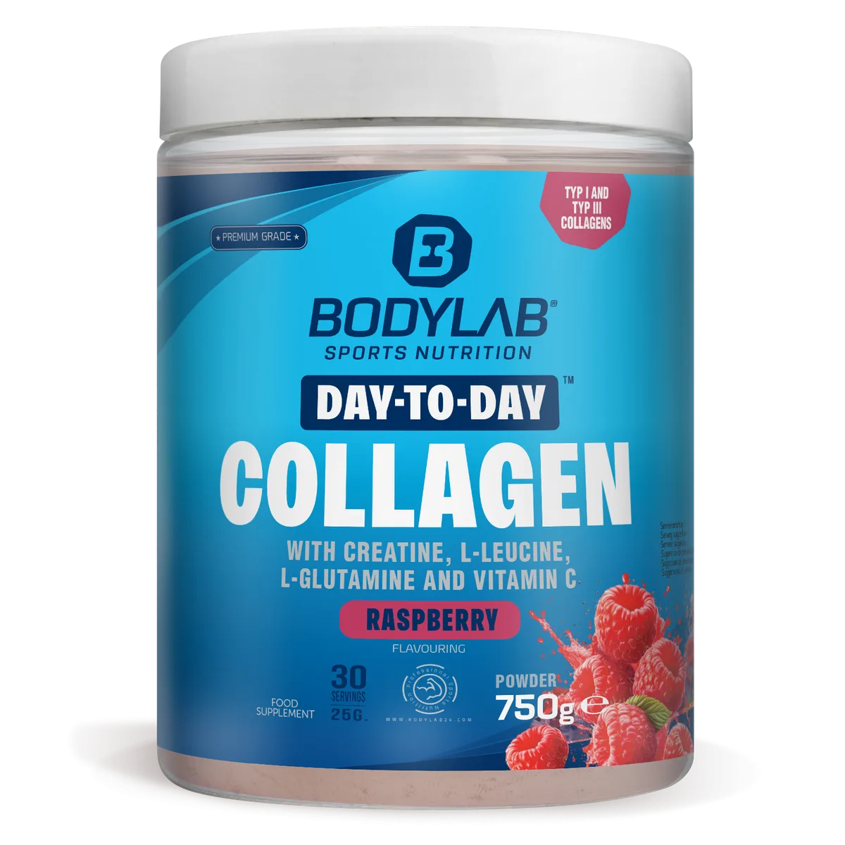 Day to Day Collagen (750g) Blueberry