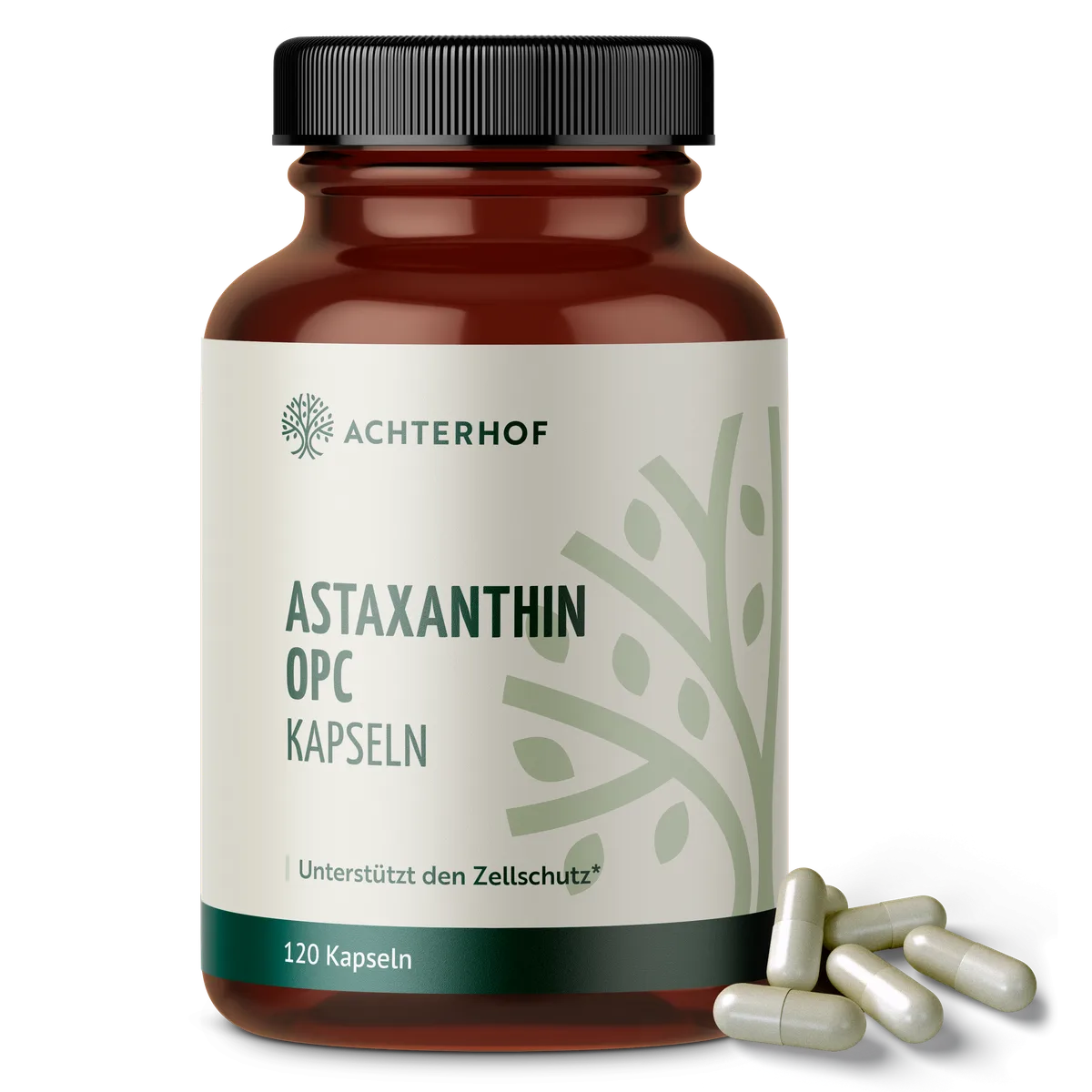Astaxanthin OPC Zellschutz Kapseln (120 Kapseln)
