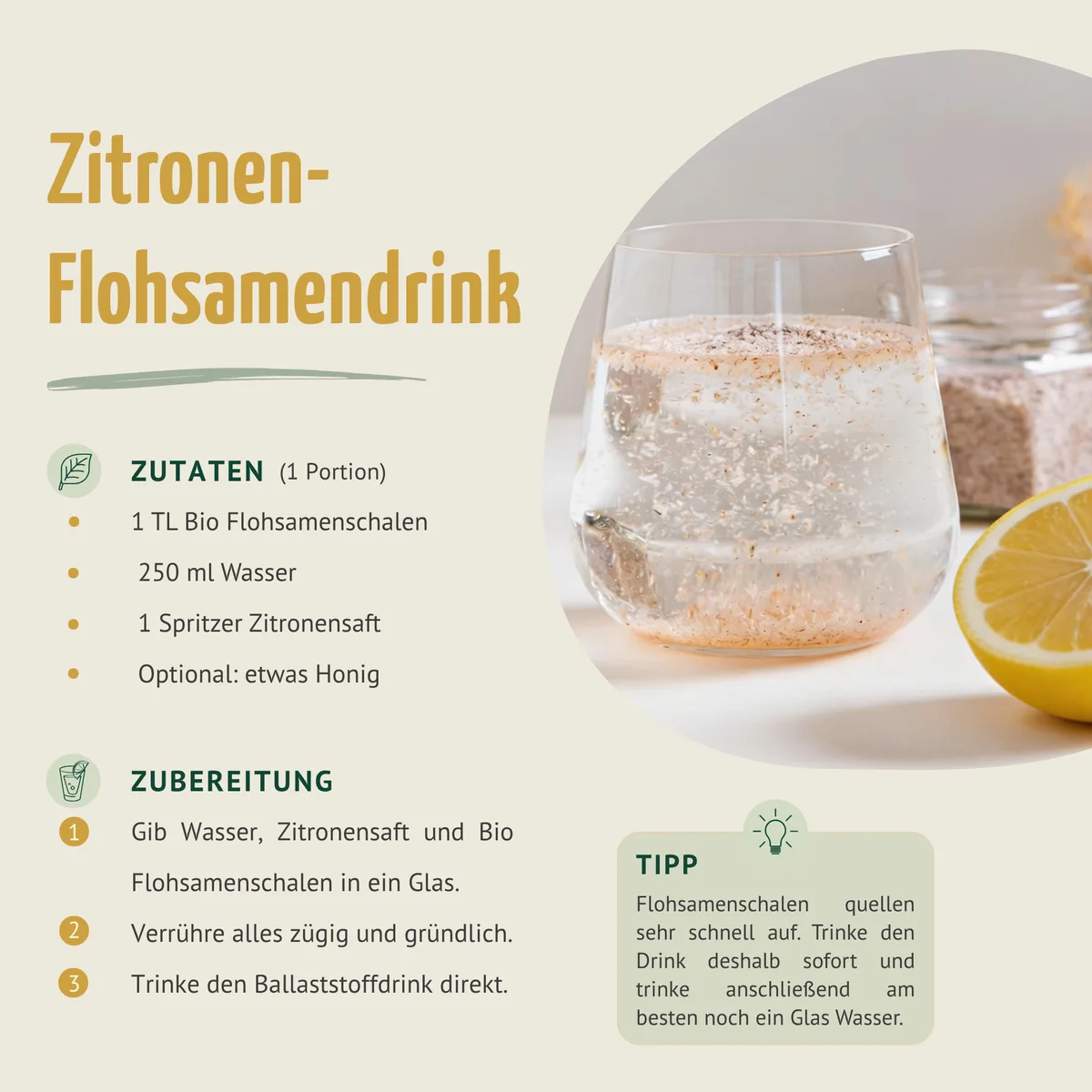 Flohsamenschalen Bio (200g) – Bild 5
