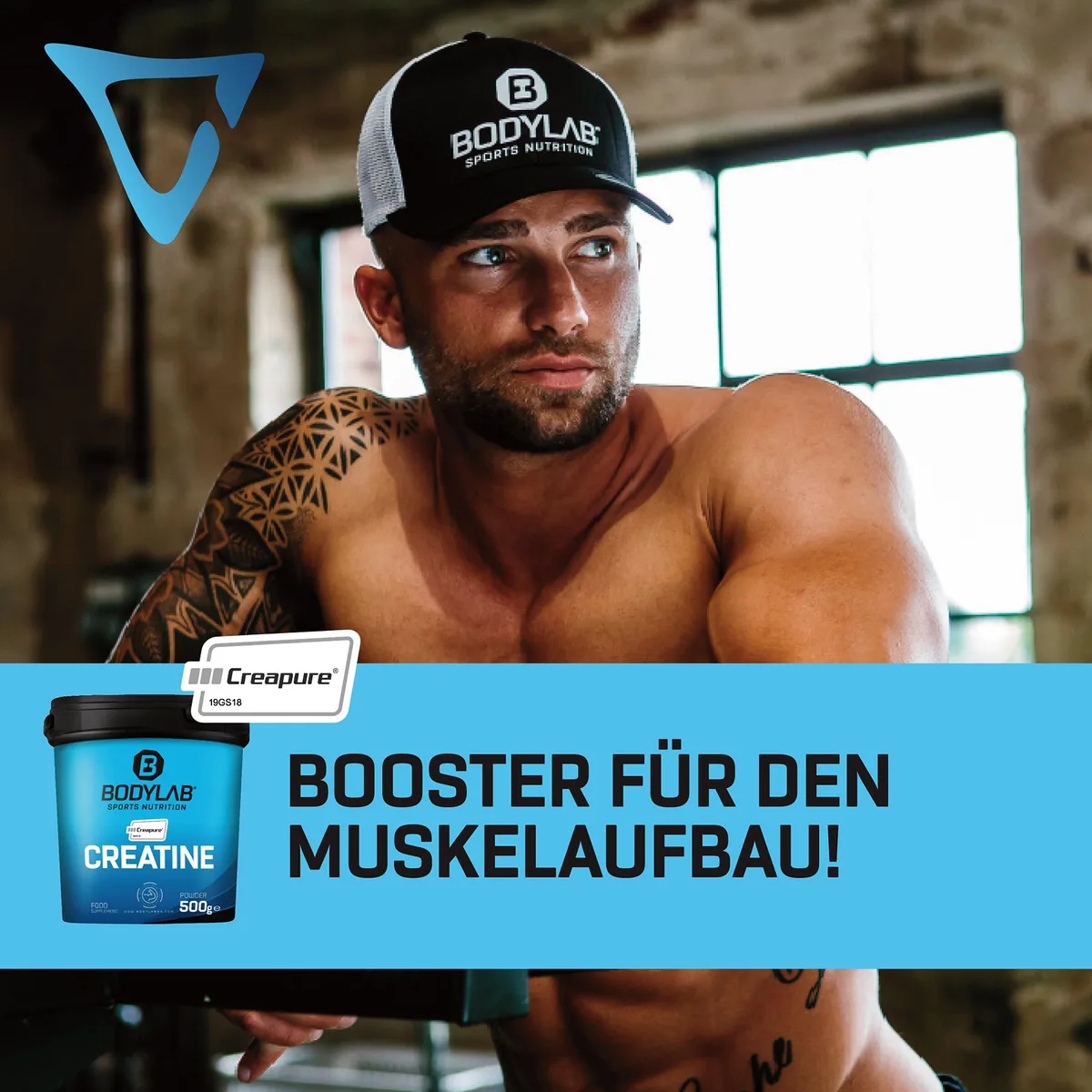 Creatine (Creapure®) (500g) – Bild 4