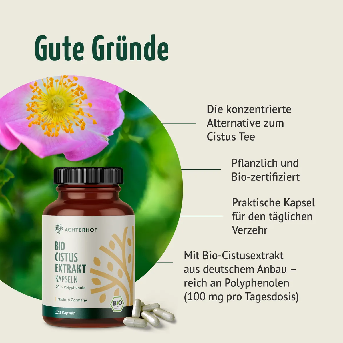 Bio Cistus Extrakt Kapseln (120 Kapseln) – Bild 2