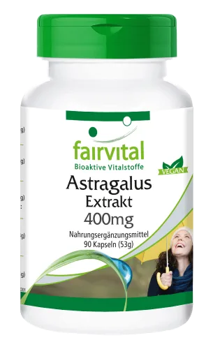 Astragalus Extrakt (90 Kapseln)