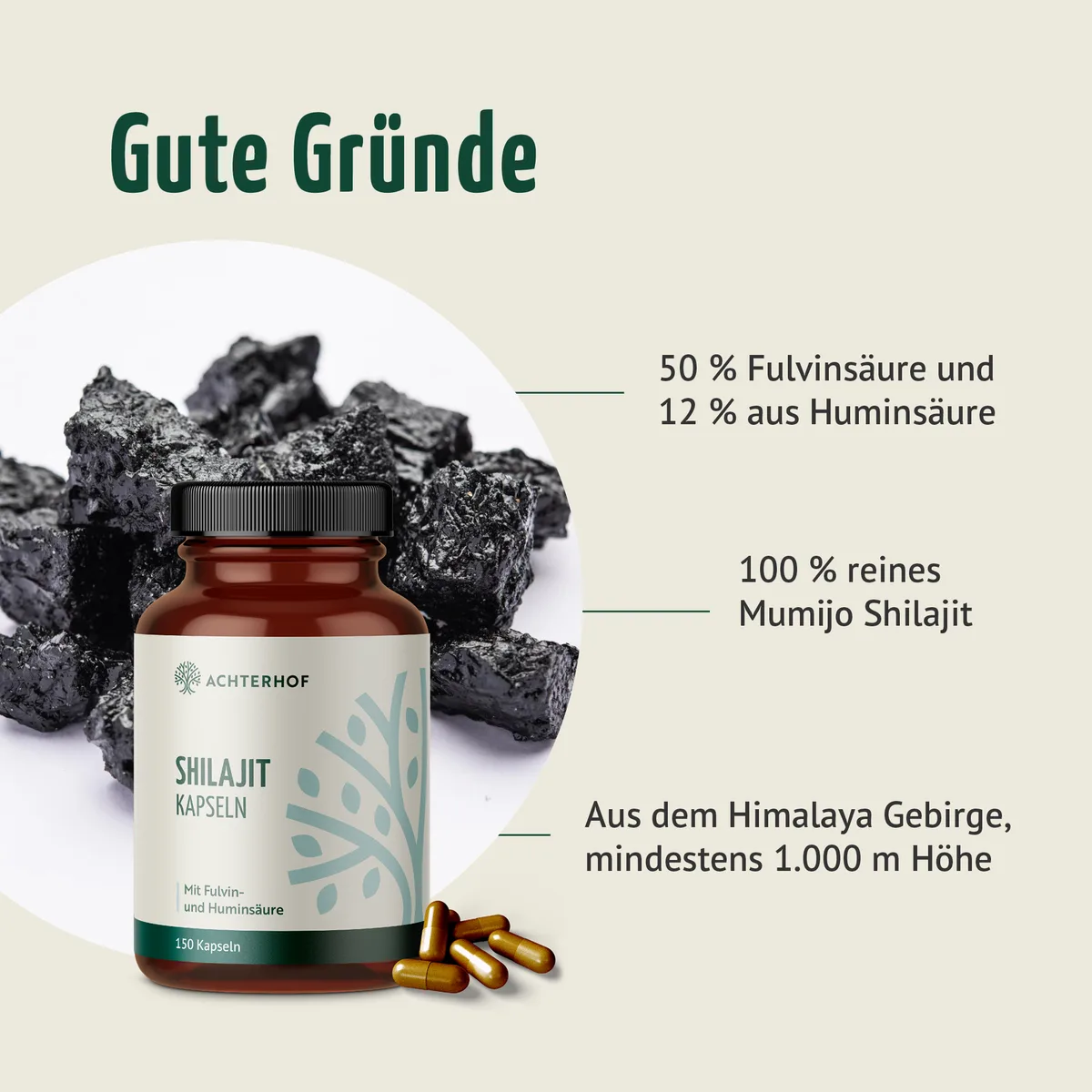 Shilajit Kapseln (150 Kapseln) – Bild 2