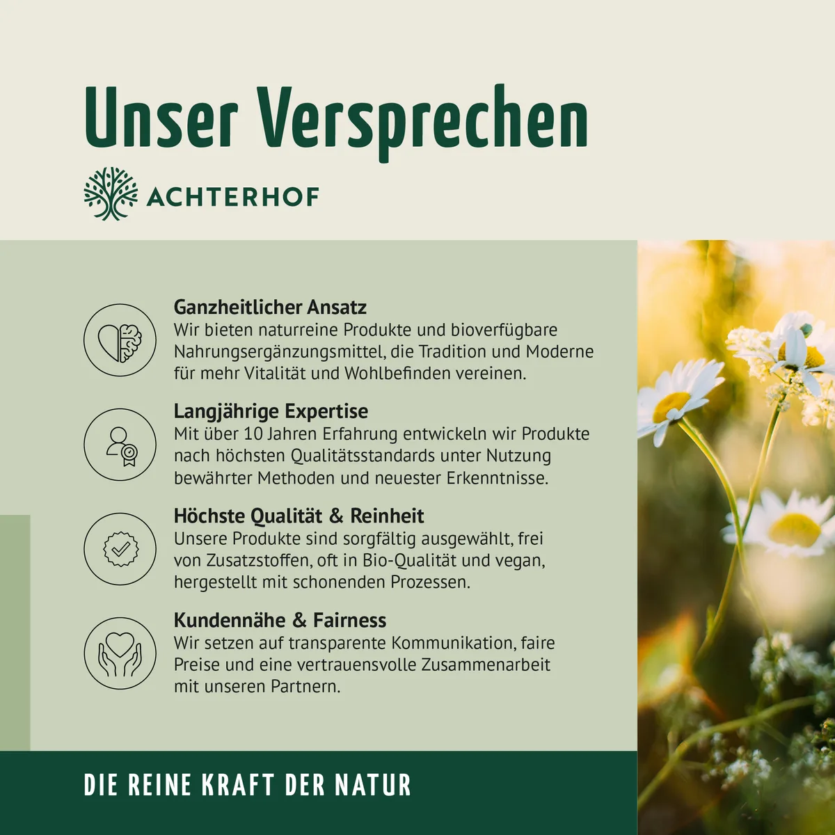 BCAA (120 Kapseln) – Bild 8
