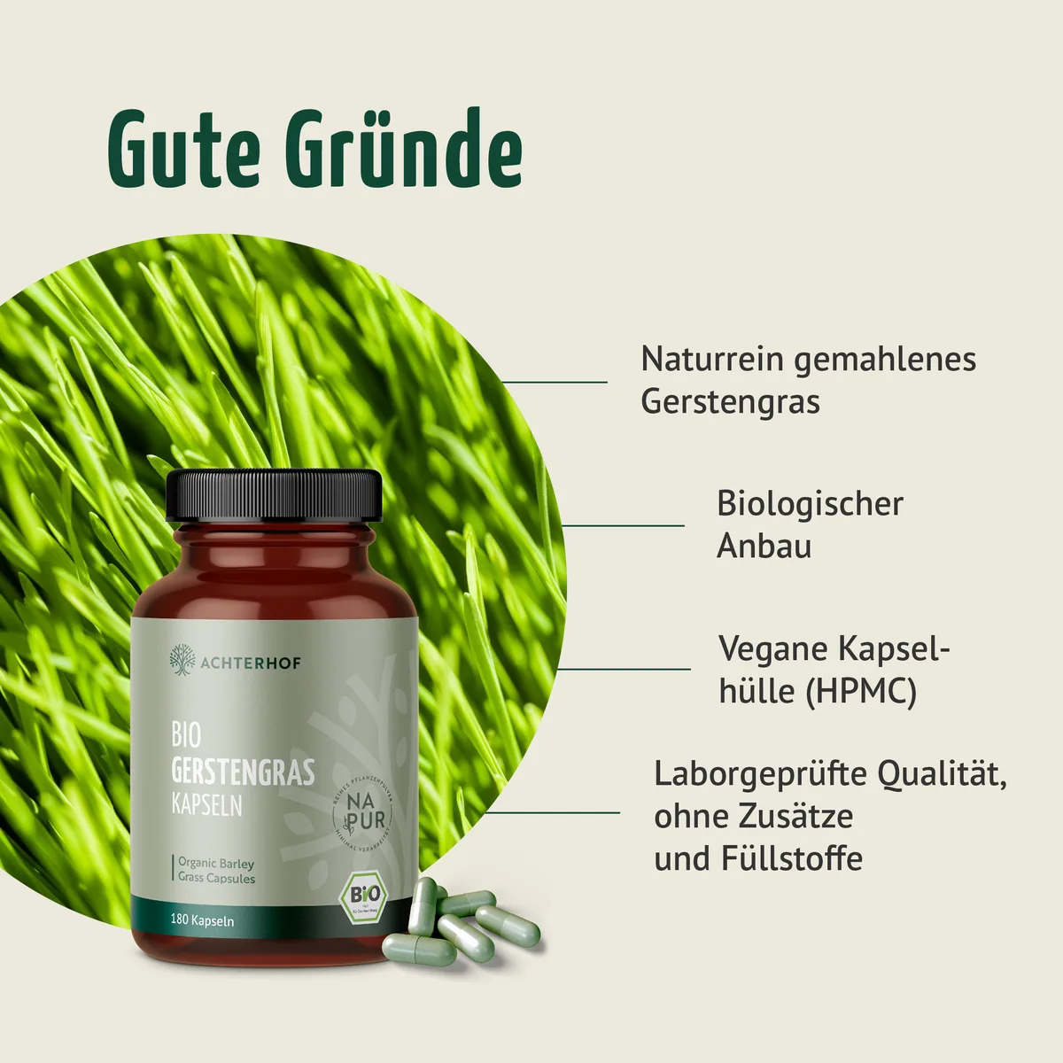 Bio Gerstengras Kapseln (180 Kapseln) – Bild 3