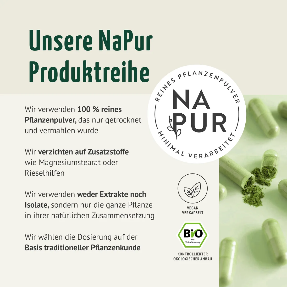 Bio Gerstengras Kapseln (180 Kapseln) – Bild 2