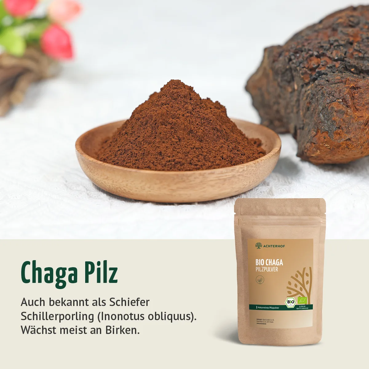 Bio Chaga Pilzpulver (100g) – Bild 4