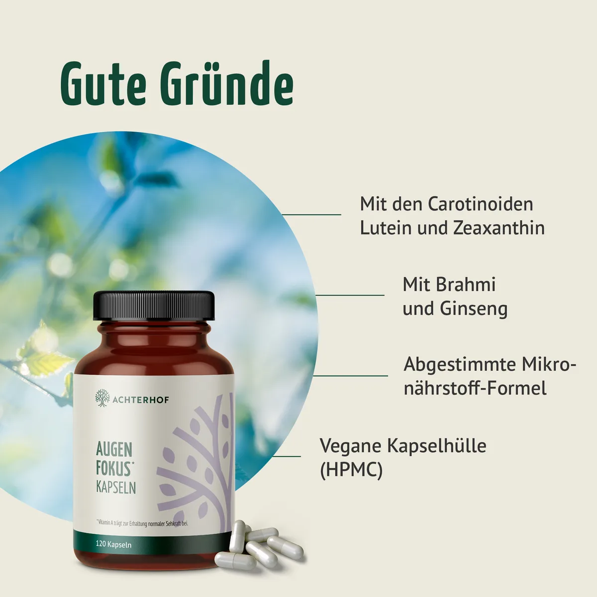 Augen Fokus Kapseln (120 Kapseln) – Bild 2