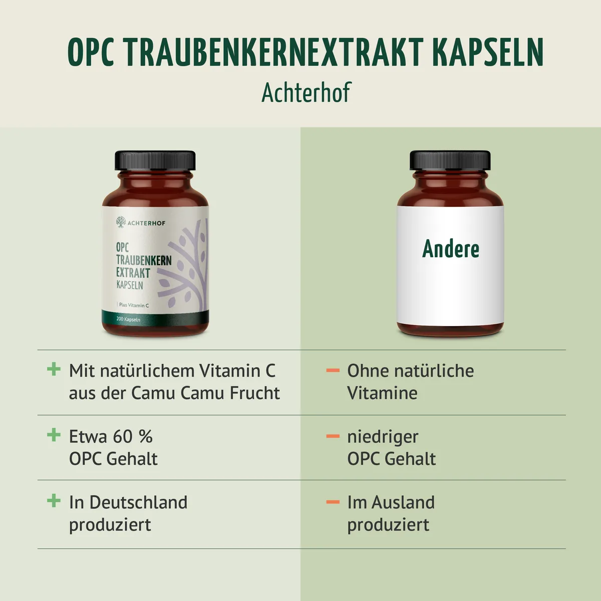 OPC Traubenkernextrakt + Vitamin C Kapseln (200 Kapseln) – Bild 5