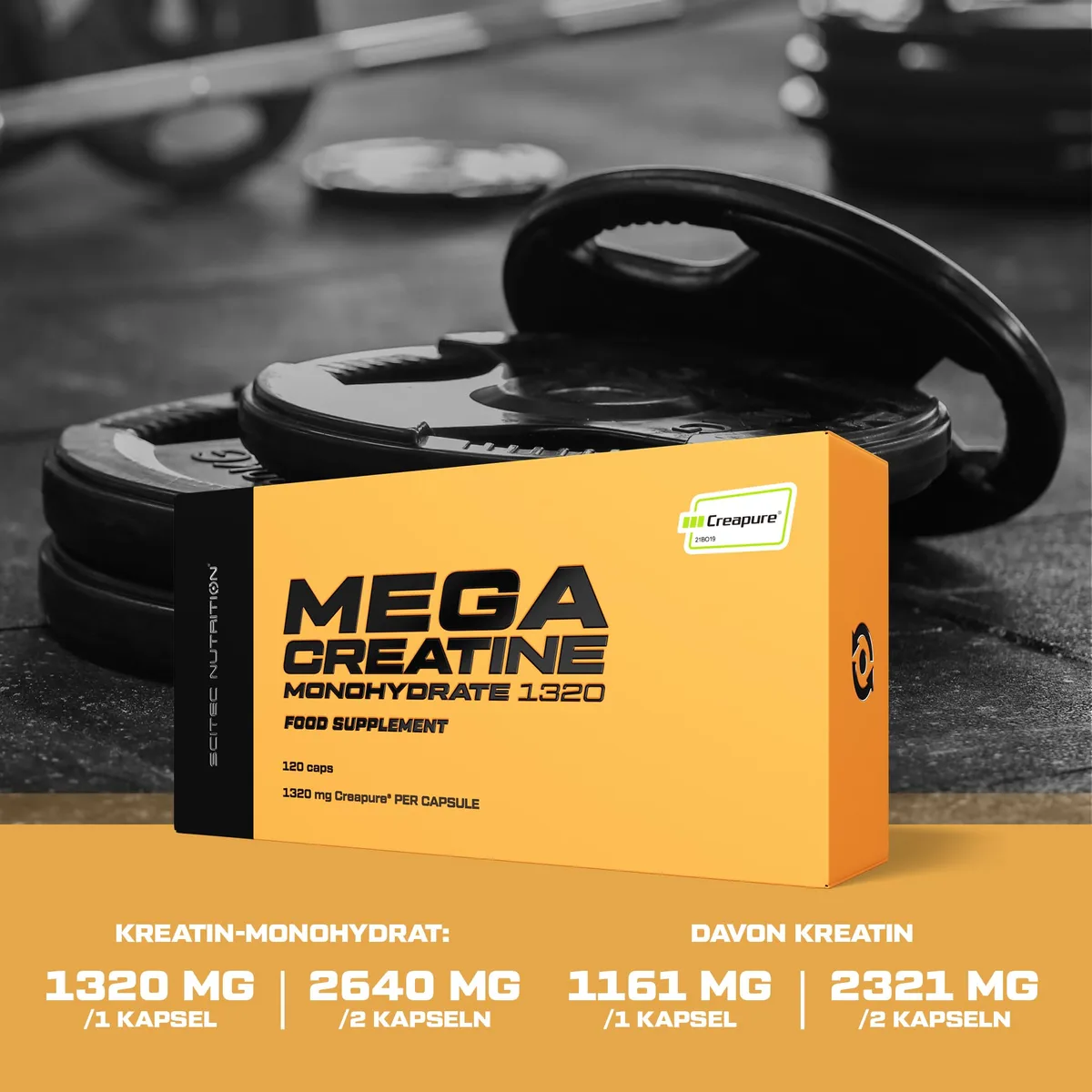 Scitec Nutrition Mega Creatine Monohydrate 1320, Nahrungsergänzungsmittel Kapseln mit Creapure® Kreatin-Monohydrat, 120 Megakapseln – Bild 6