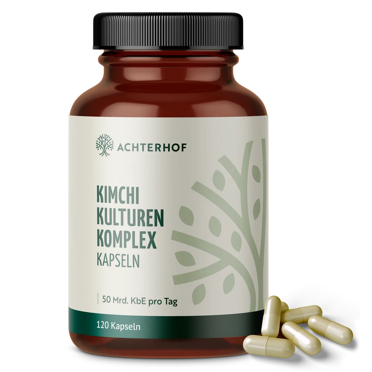 Kimchi Kulturen Komplex (120 Kapseln)