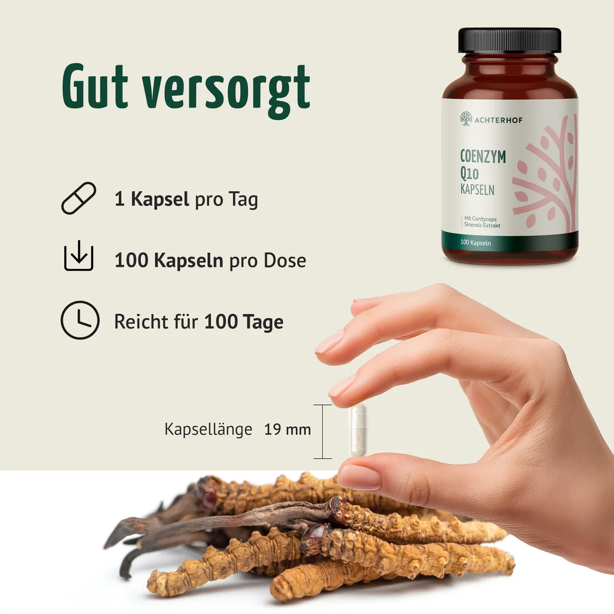 Coenzym Q10 Cordyceps (100 Kapseln) – Bild 4