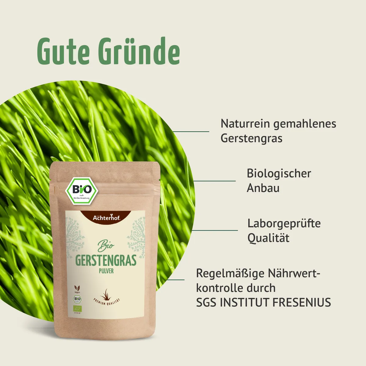 Bio Gerstengras Pulver (150g) – Bild 6