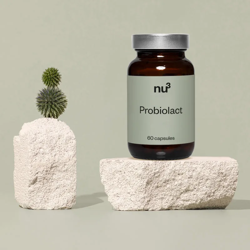 nu3 Probiolact Basic / 60 Kapseln