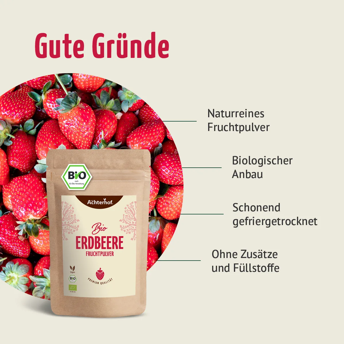 Bio Matcha Fruchtpulver Set – Bild 3