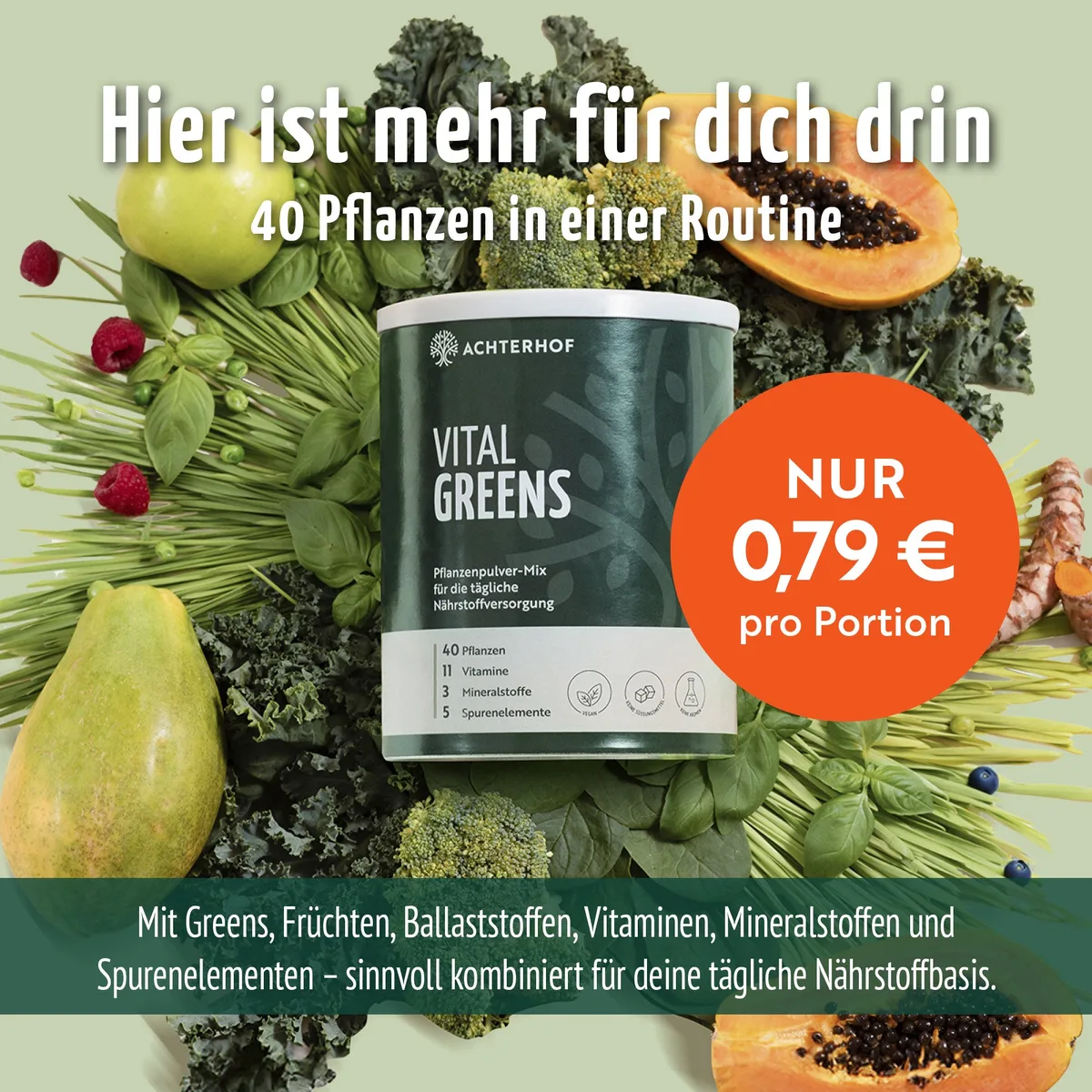 Vital Greens Pulver (400g) – Bild 4