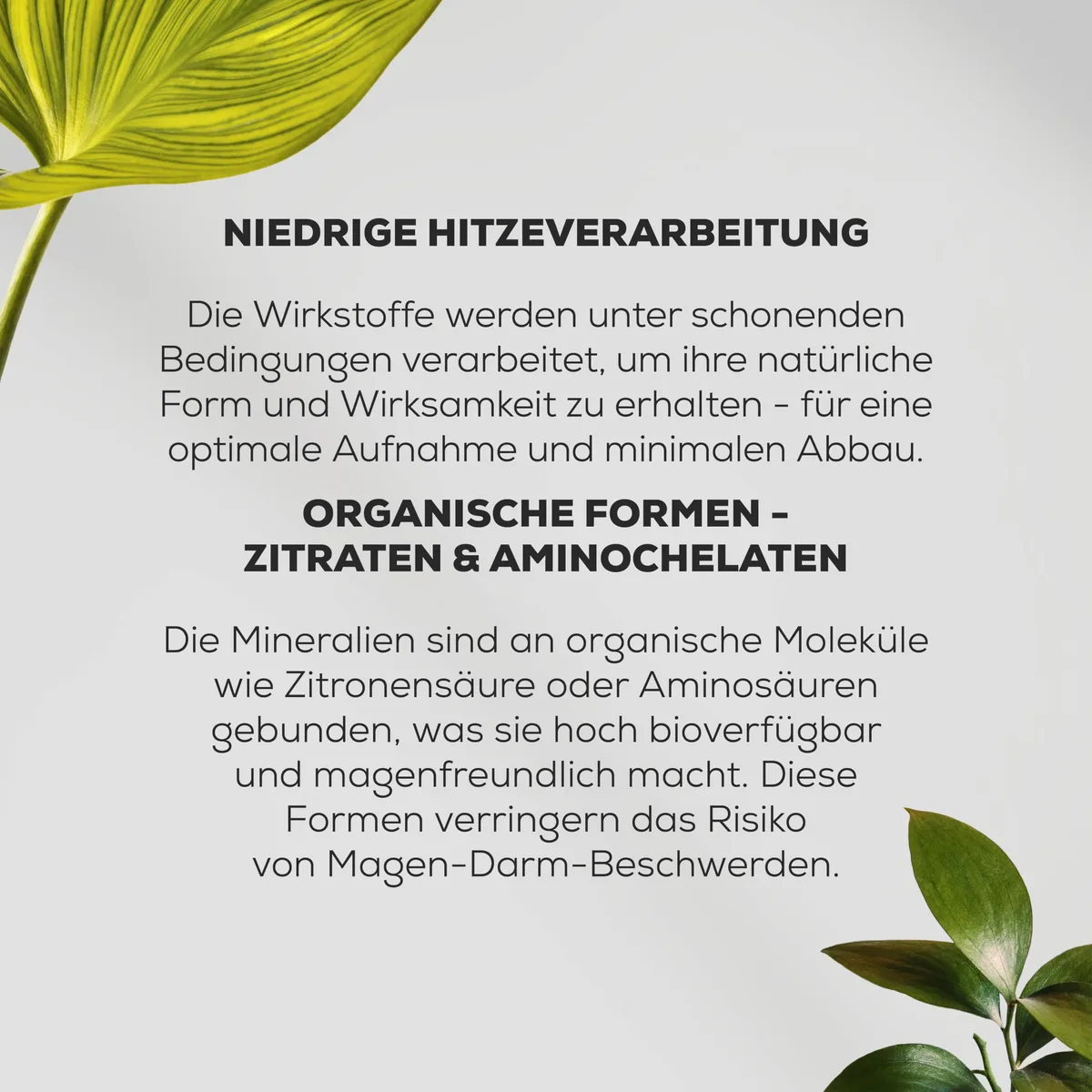 BioTechUSA Calcium Zinc Magnesium from Organic Sources | 4 Arten biologischer Mineralien | Synergistische Formel für Knochen, Muskeln, Nerven- und Immunsystem, 90 Tabletten – Bild 4