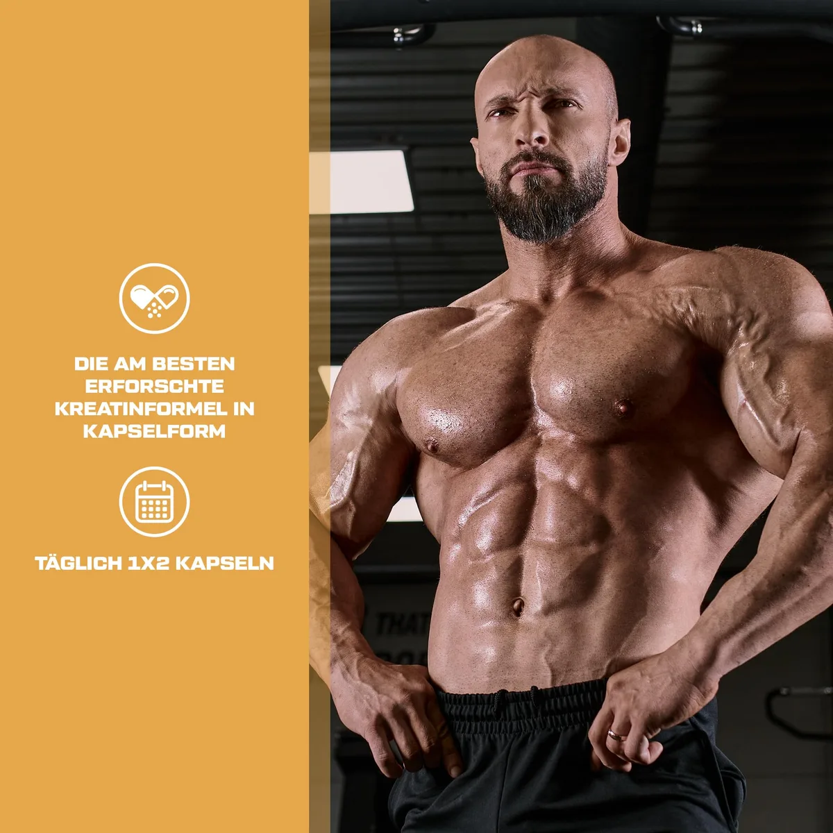 Scitec Nutrition Mega Creatine Monohydrate 1320, Nahrungsergänzungsmittel Kapseln mit Creapure® Kreatin-Monohydrat, 120 Megakapseln – Bild 2