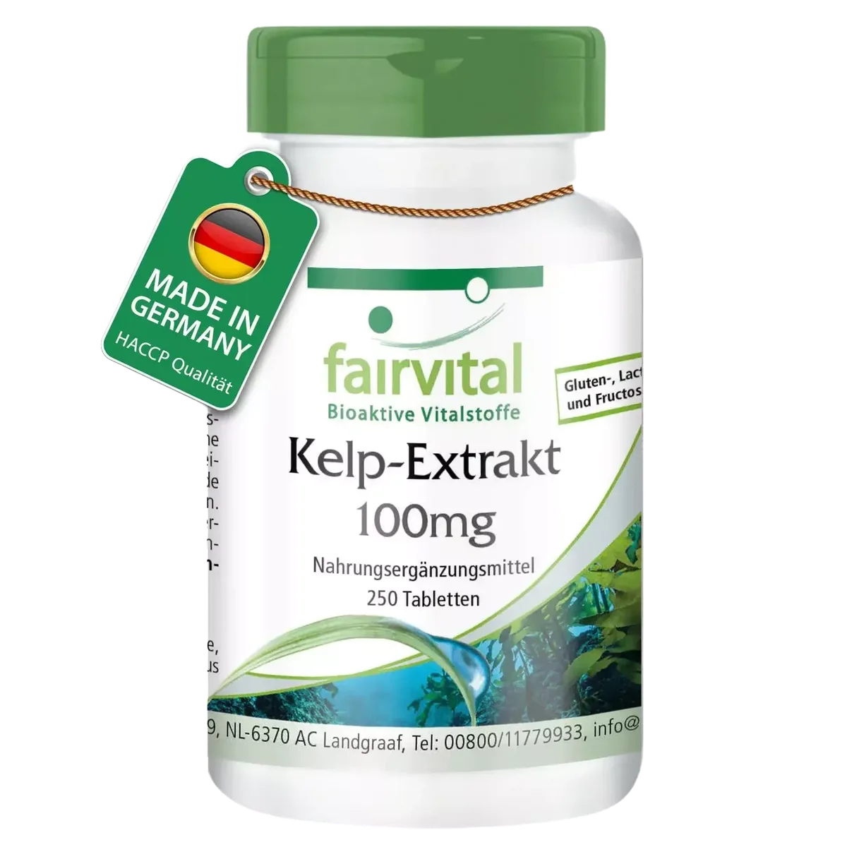 Kelp-Extrakt 100mg (250 Tabletten)